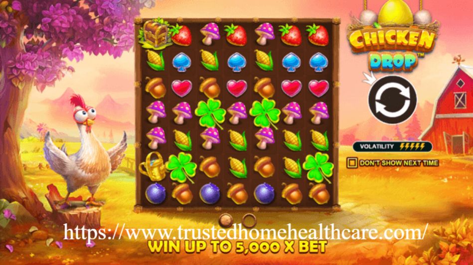 You are currently viewing Chicken Drop: Slot Ayam Seru dengan Kejutan Telur Emas